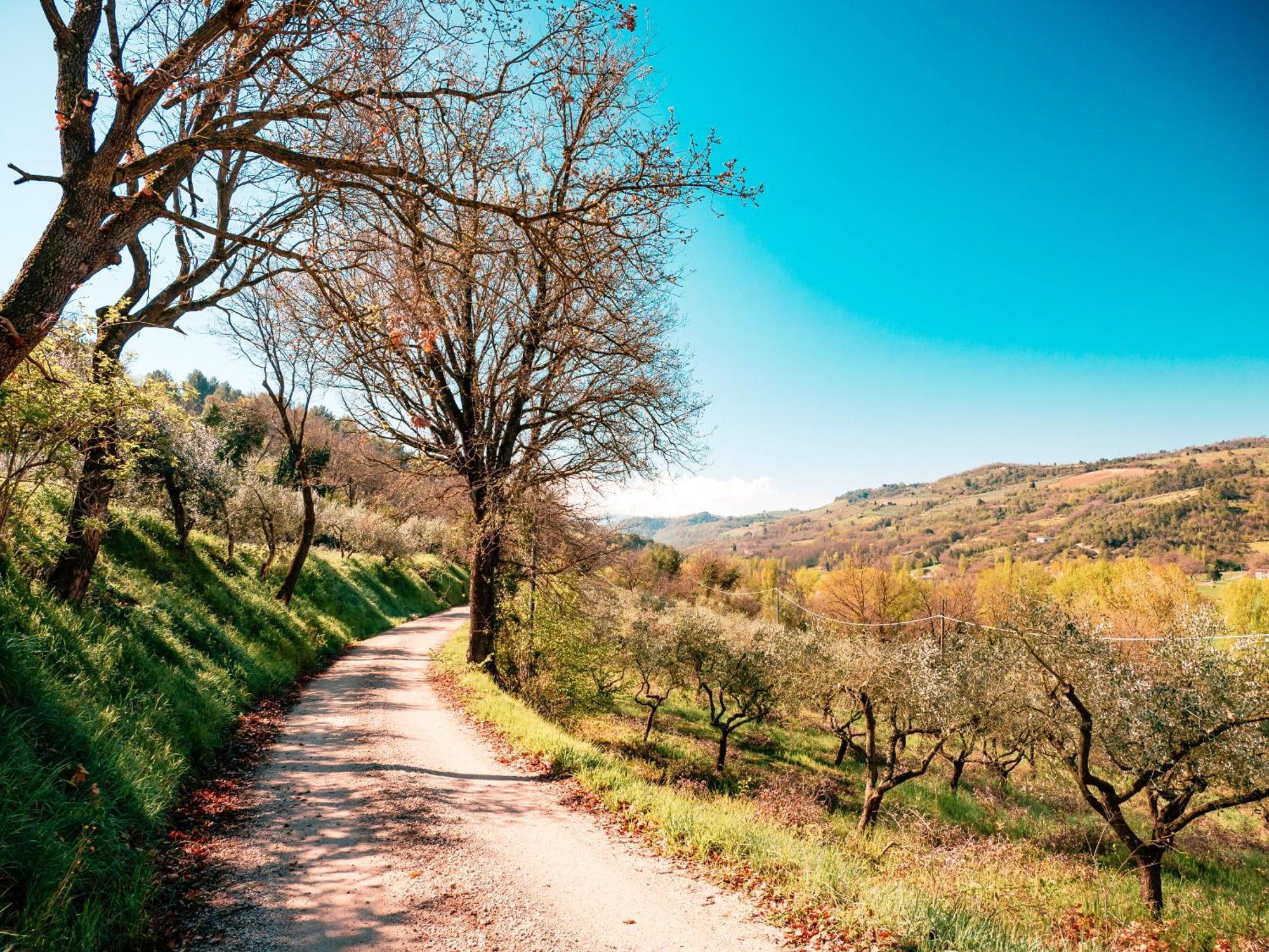 Ostello Bello Assisi Bevagna Kültér fotó